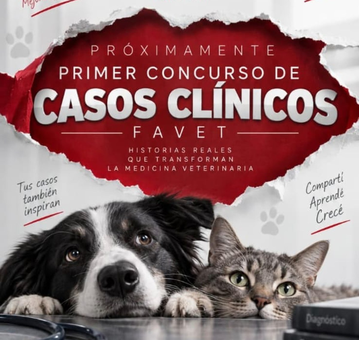 Afiche de la competencia
